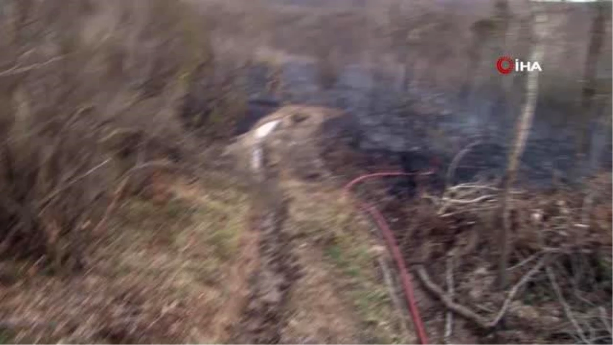 Beykoz\'da havaya açılan ateş ormanlık alanı yaktı