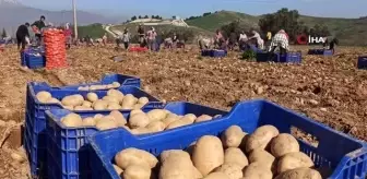Üretici maliyetten, tüketici komisyoncudan şikayetçi