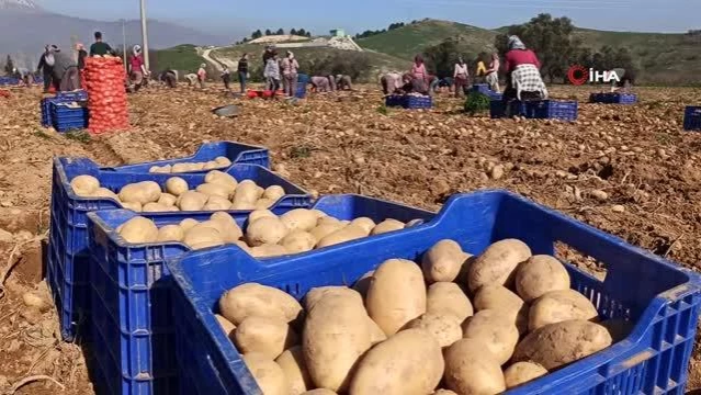 Üretici maliyetten, tüketici komisyoncudan şikayetçi