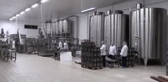 Zeytinyağındaki rekolte düşüşüne rağmen hedef 120 milyon dolarlık ihracat