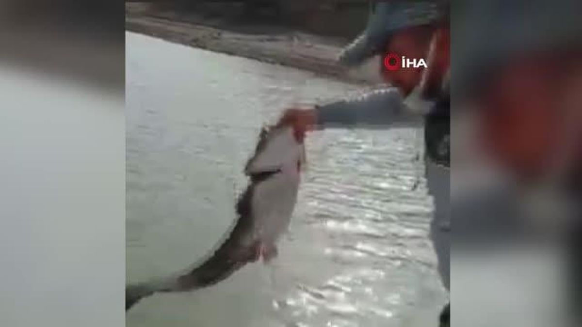 Baraj gölüne 1 kilometrelik kaçak ağ gerdiler