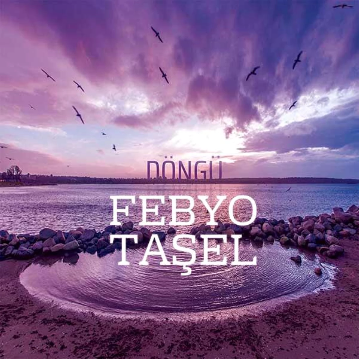 Febyo Taşel\'den evrensel albüm