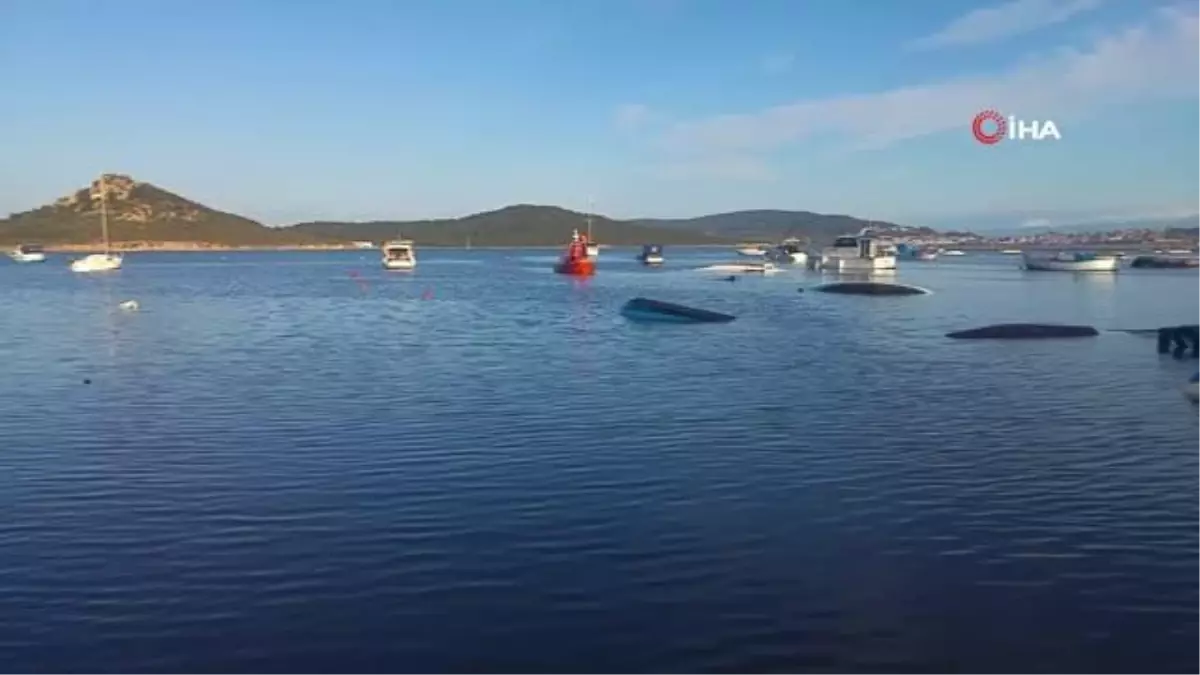 Hortum çatıları uçurdu, asırlık ağaçları kırdı...Başkan olay yerini inceledi