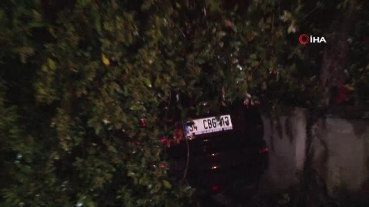 Kadıköy\'de şiddetli rüzgarda park halindeki otomobilin üzerine ağaç devrildi