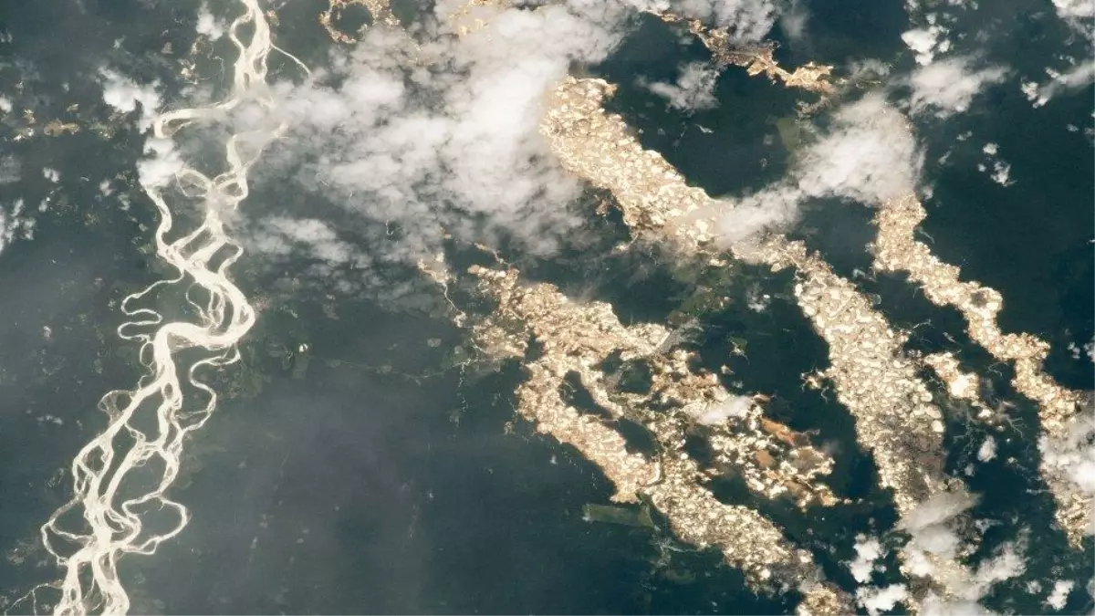 NASA\'nın uzaydan çektiği fotoğraflar, Amazon\'un \'altın nehirlerini\' ortaya çıkardı