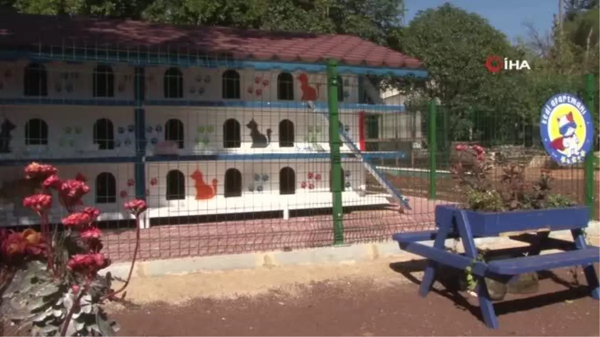 Antalya'ya 3 katlı 64 odalı kedi apartmanı