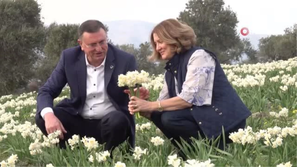 Son dakika: Başkan Savaş\'tan Çiçek Üreticisine "Sevgililer Günü" Desteği