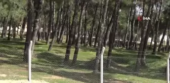 Son dakika haberi | Yemeğe davet ettiği arkadaşı tarafından öldürüldü