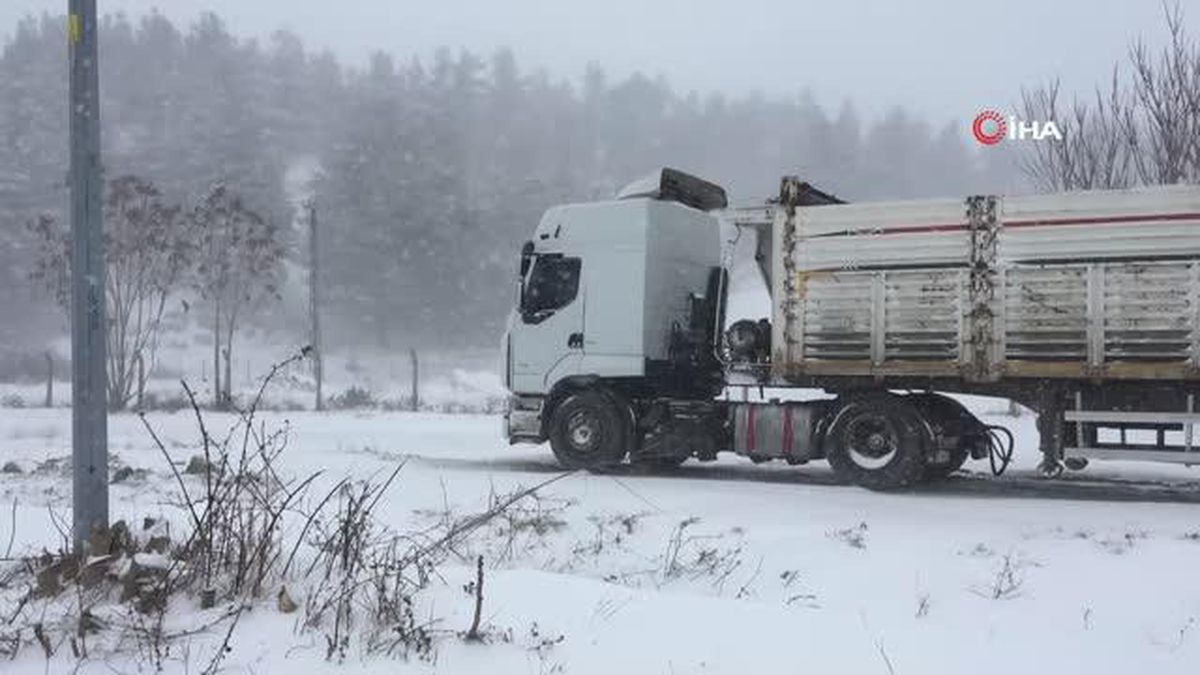 Çiçek açan ağaçlar kar altında kaldı