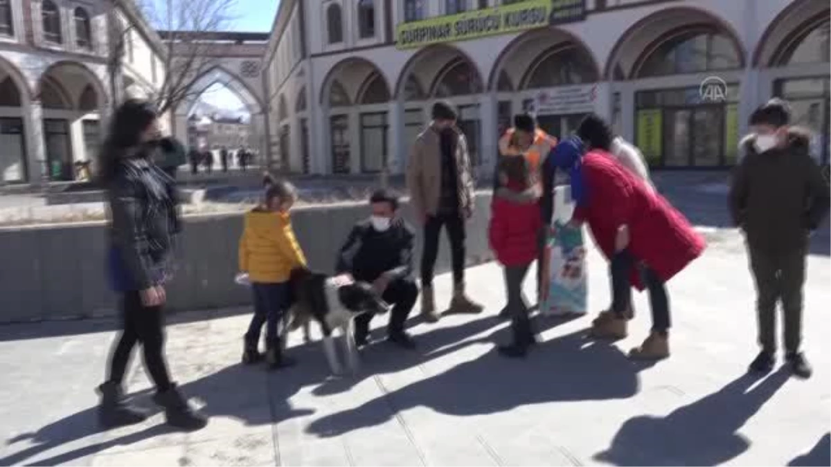 Gürpınar\'da sokak hayvanlarına yem bırakıldı