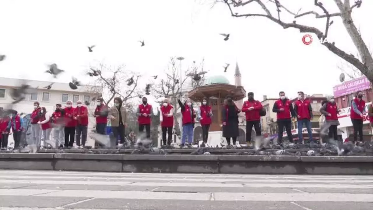 Hayvan sevgisine yasak yok