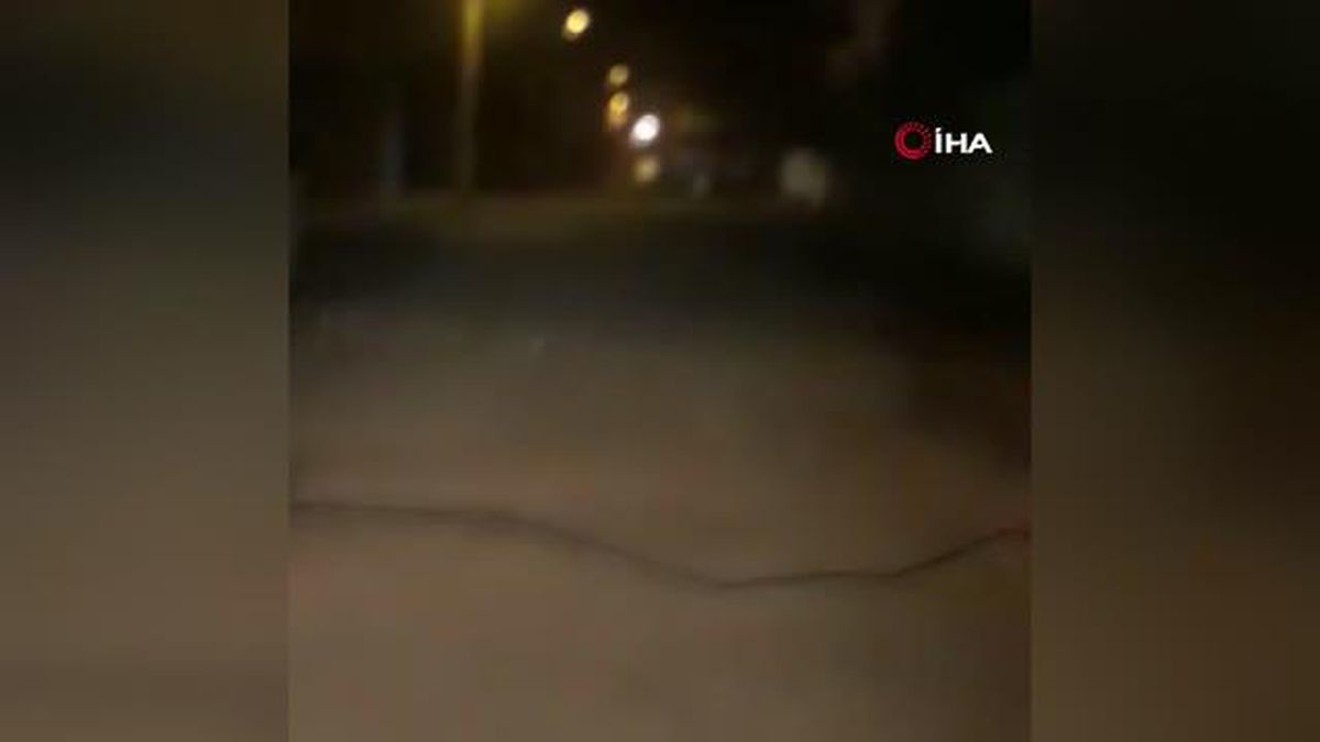 İlçeye inen kurtları araçla böyle kovaladılar