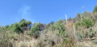 Son dakika haberi | Örtülük alanda çıkan yangın söndürüldü