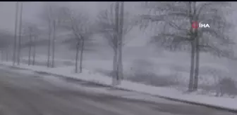 Yalova'da kar yağışı etkili oluyor