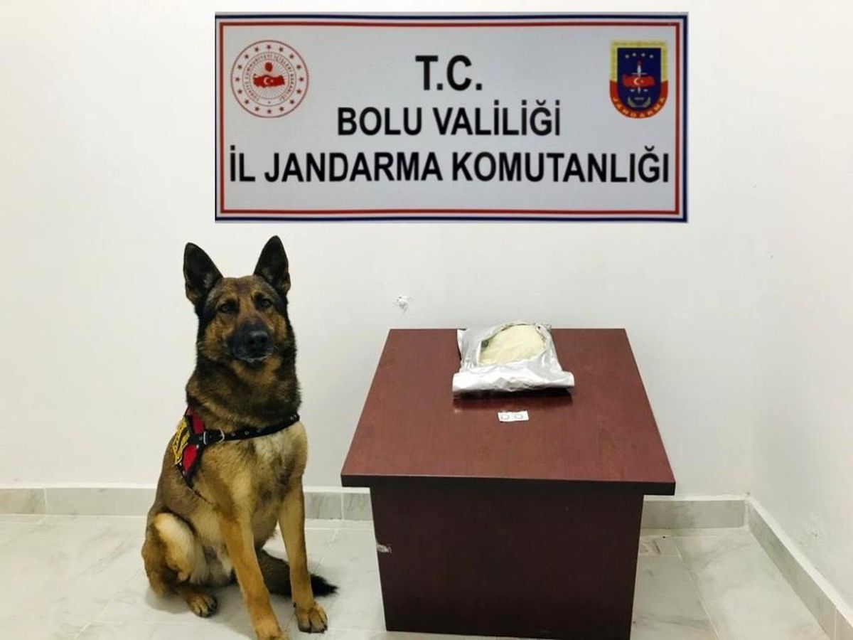 1 kilo 150 gram uyuşturucu ham maddesiyle yakalanan şahıs tutuklandı