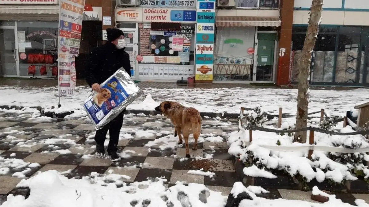 Son dakika haberleri: Başkan Yüksel sokak hayvanlarını elleri ile besledi