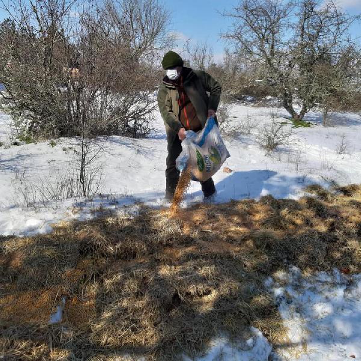 Edirne\'de yaban hayvanları için doğaya 1 ton 100 kilo yem bırakıldı
