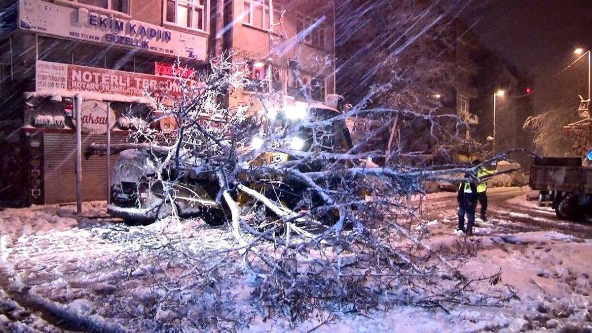 Kağıthane\'de yoğun kar yağışı nedeniyle yol kenarındaki ağaç devrildi