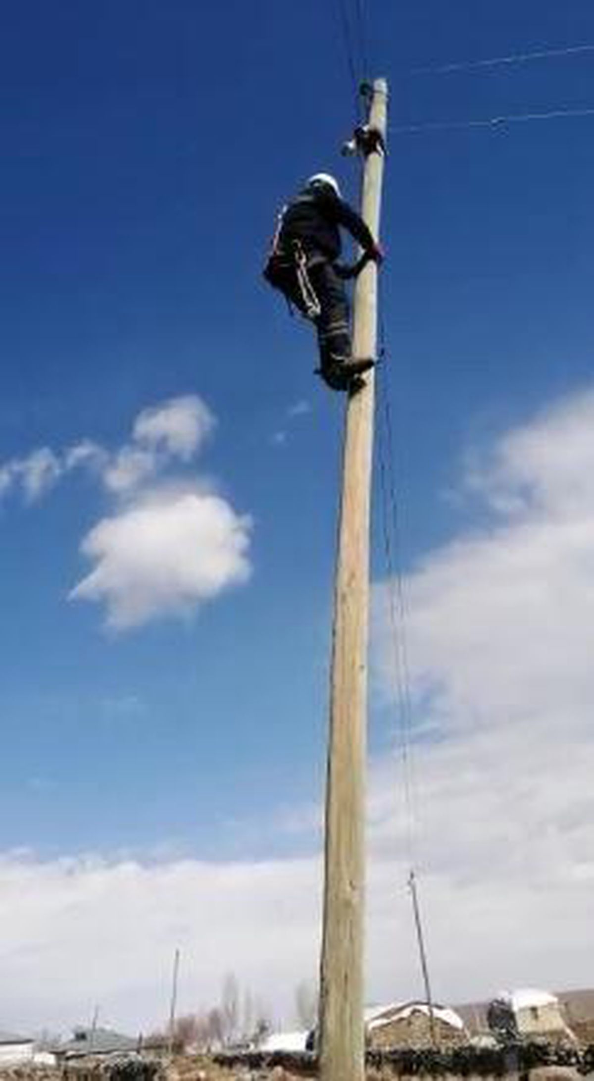 Köpeklerden kaçarken elektrik direğinde mahsur kaldı