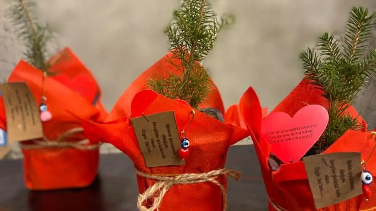 Özgür Saç, ziyaretçilerine 500 adet çam fidanı hediye etti