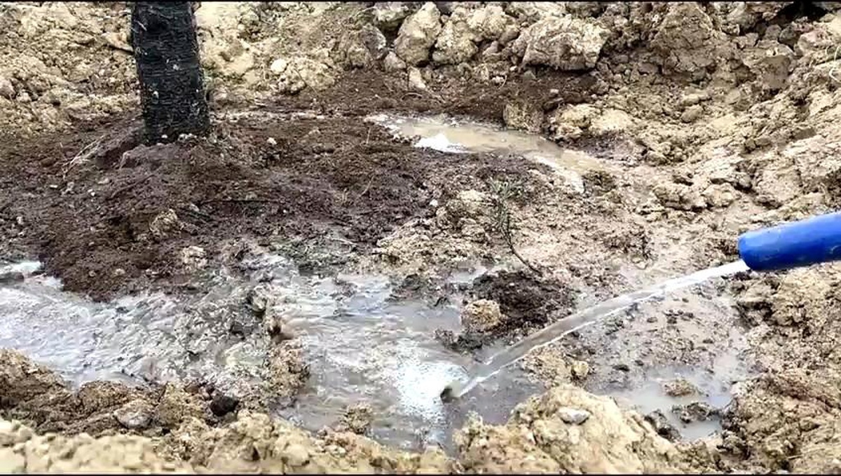 Pursaklar\'da ağaçlandırma çalışmaları tüm hızıyla devam ediyor
