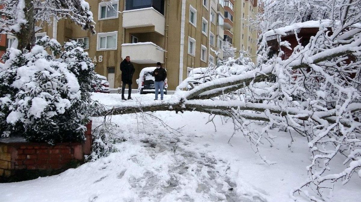 Site kapısına devrilen ağaç site sakinlerini mahsur bıraktı