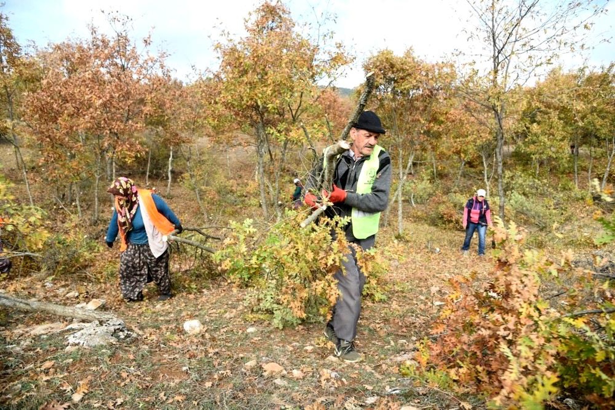 Son dakika haberi! Alpu\'da orman yatırımları yüzleri güldürüyor