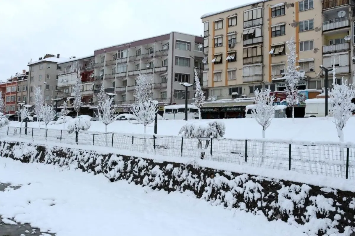 Balıkesir merkezi kara uyandı