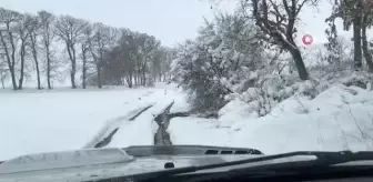 Çanakkale'de yaban hayvanları için doğaya yem bırakıldı