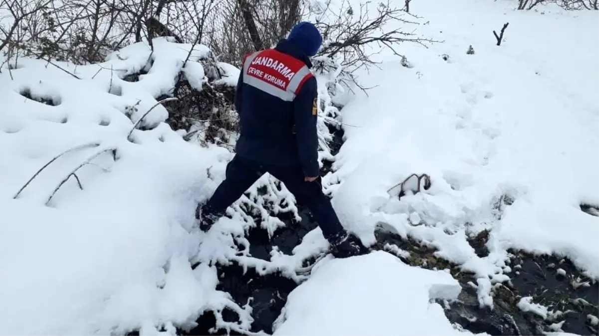 Dereyi kirleten zeytinyağı fabrikasına ceza