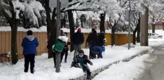 Kar yağışına dayanamayan ağaçlar kırıldı