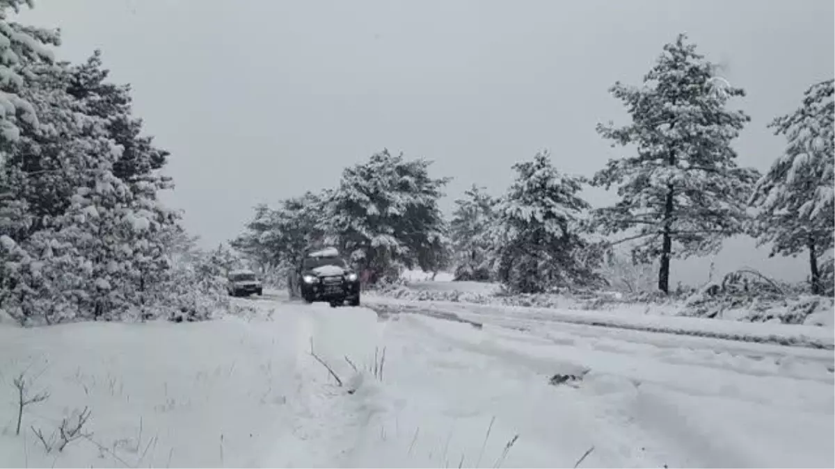 KASTAMONU - Avcılar yaban hayvanları için doğaya yiyecek bıraktı