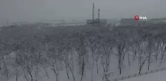 OMÜ'de kar kalınlığı 50 santimi geçti