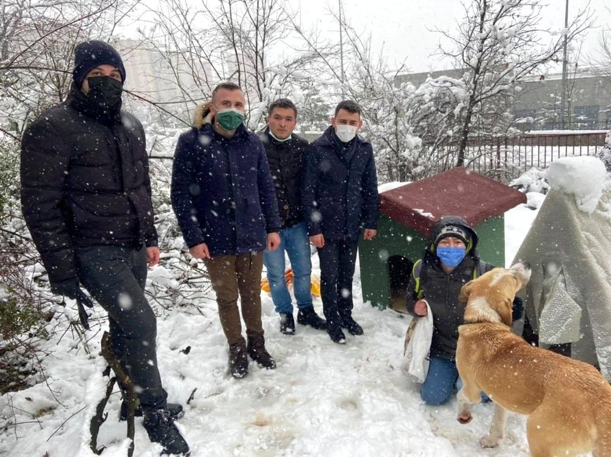 Sokak hayvanlarına kulübe desteği
