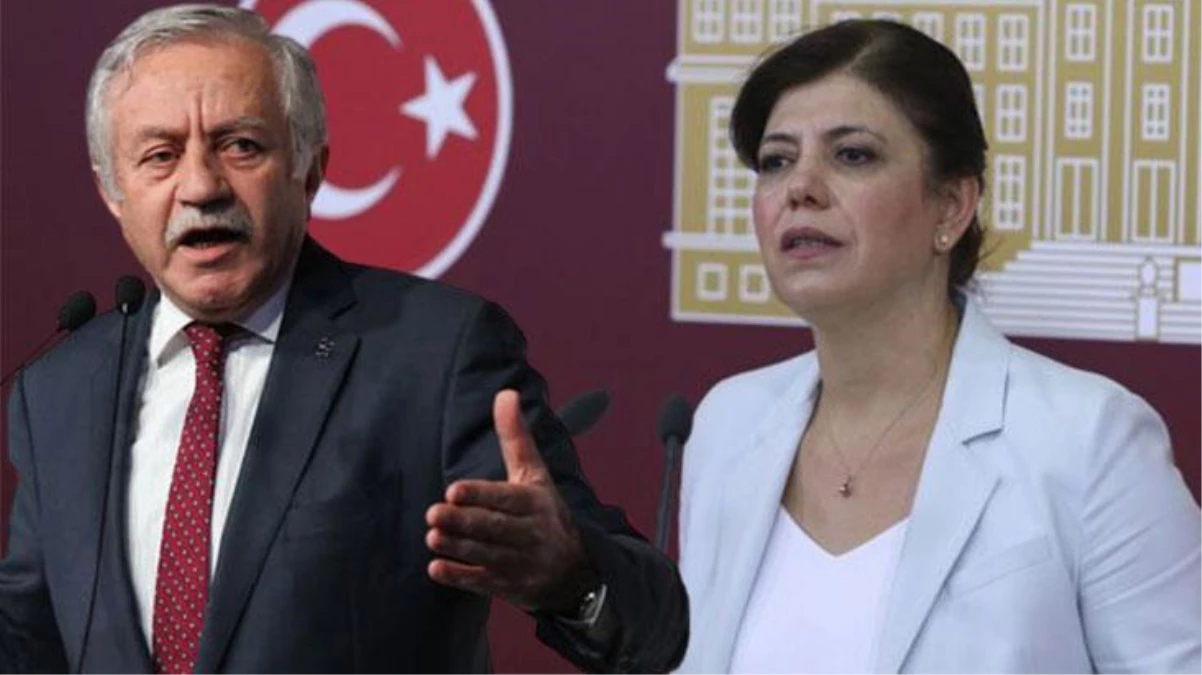 TBMM Başkanvekili, HDP\'li vekilin yüzüne bakarak söyledi: Konuşmam sırtını PYD\'ye dayayan alçaklara
