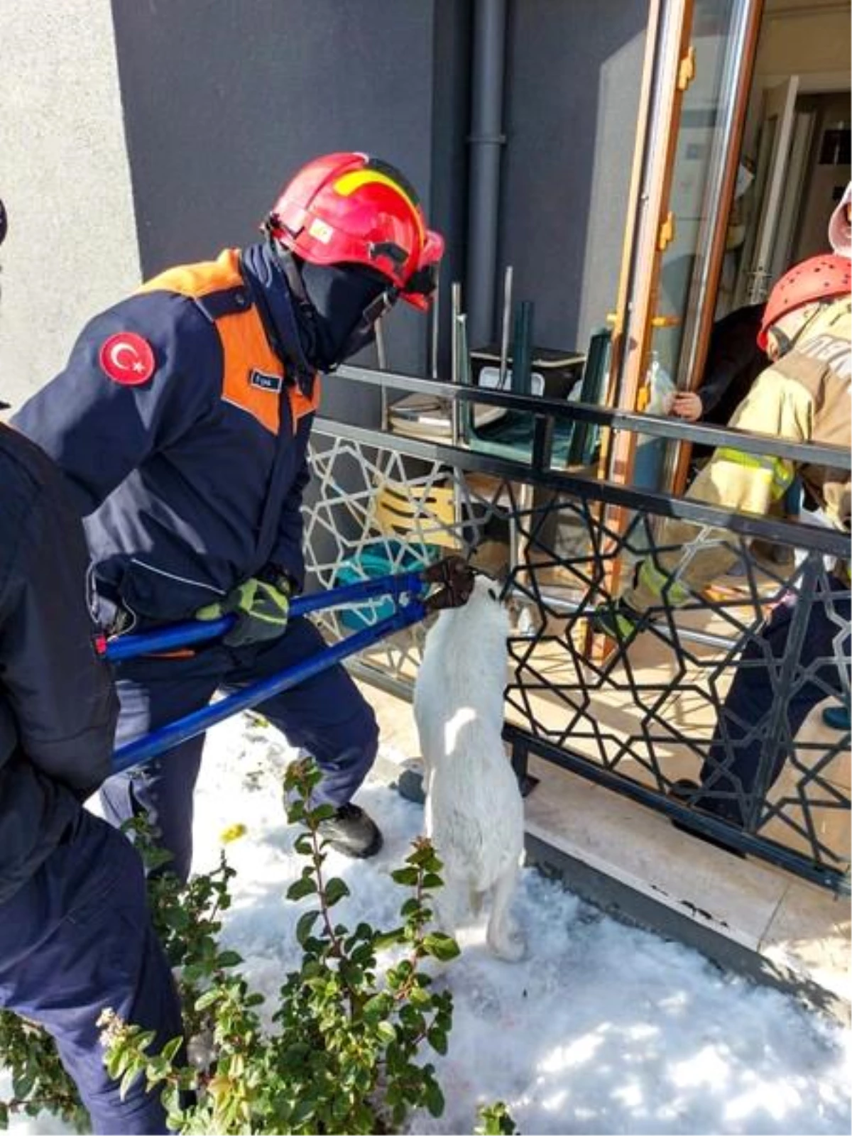 Balkon korkuluklarına sıkışan köpeği itfaiye kurtardı