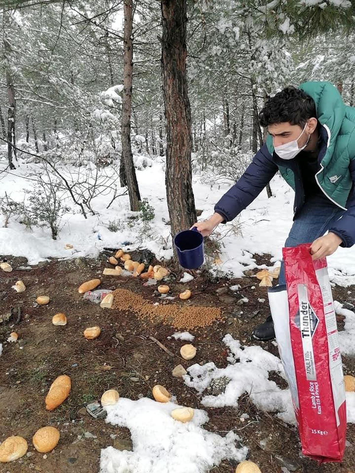 Doğadaki sahipsiz hayvanlara her gün yem bırakıyorlar