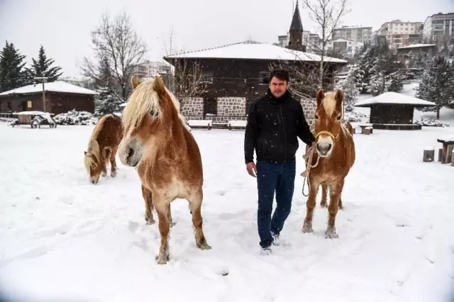 Özgür atların kar keyfi - Son Dakika Özgür atların kar keyfi - Son Dakika