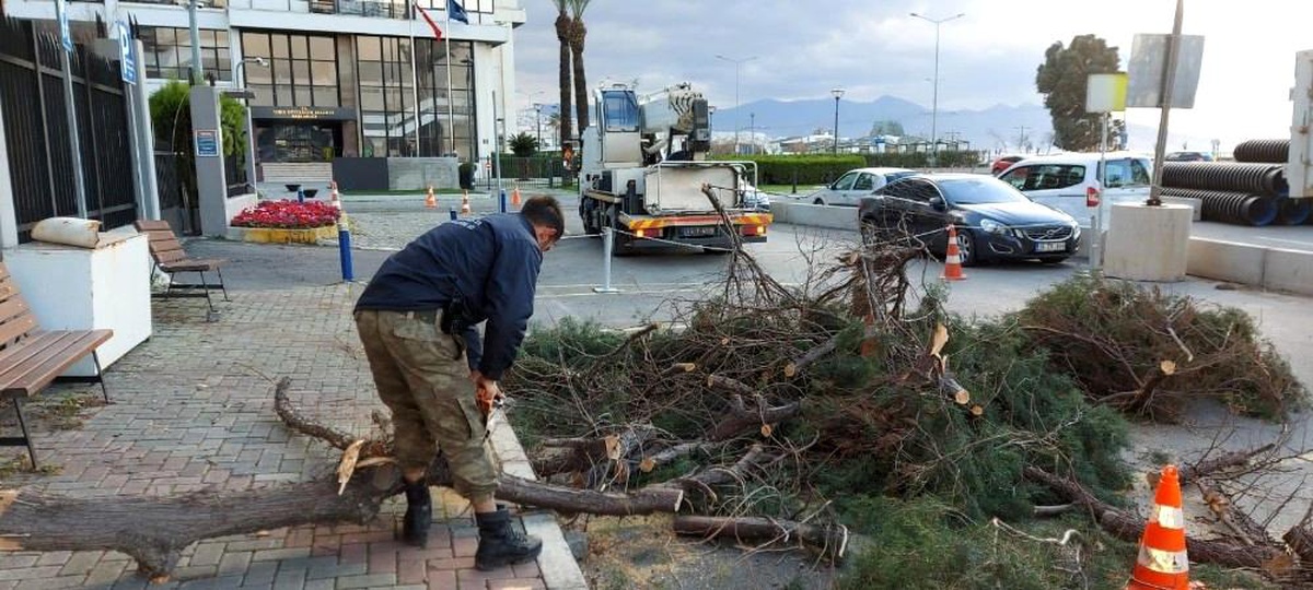 İzmir\'de fırtınadan 330 ağaç zarar gördü