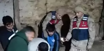 Son dakika haber | Jandarma ekipleri ineğe doğum yaptırdı
