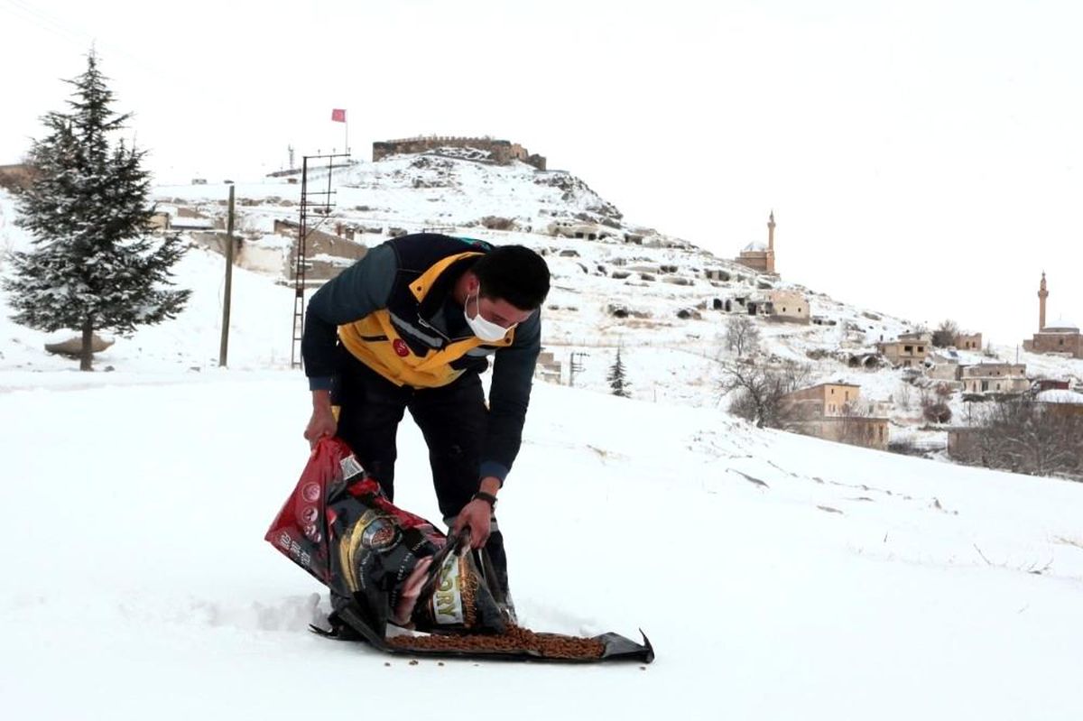 Nevşehir\'de sokak hayvanları unutulmadı