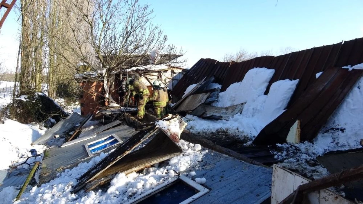 Tuzla\'da ahırın çatısı çöktü, 60\'a yakın hayvan kurtarıldı