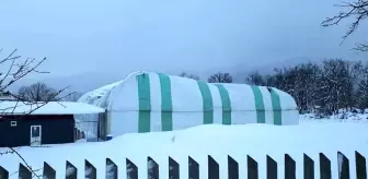 Yenice'de biriken karlar halı sahanın çatısını çökertti