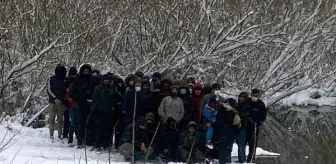 Yunanistan'ın şiddet uyguladığı göçmenler donmaktan kurtarıldı
