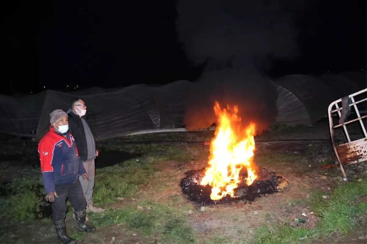 Aydın'da ilginç yöntemle zirai don nöbeti