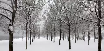 Beyaz örtüyle kaplanan Kocaeli'de kartpostallık manzaralar