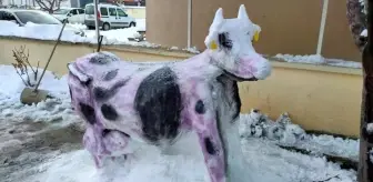 Bu da kardan 'inek'