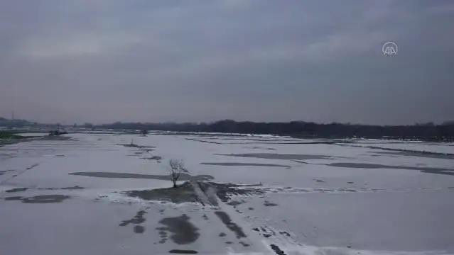 Edirne'de soğuk hava nedeniyle nehir kenarındaki tarlalar buz tuttu