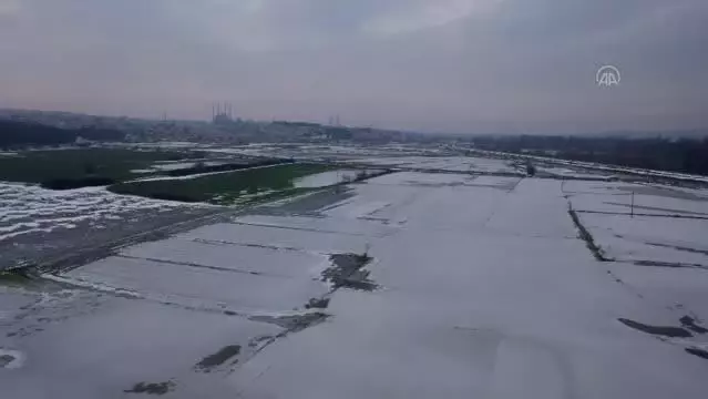 Edirne'de soğuk hava nedeniyle nehir kenarındaki tarlalar buz tuttu