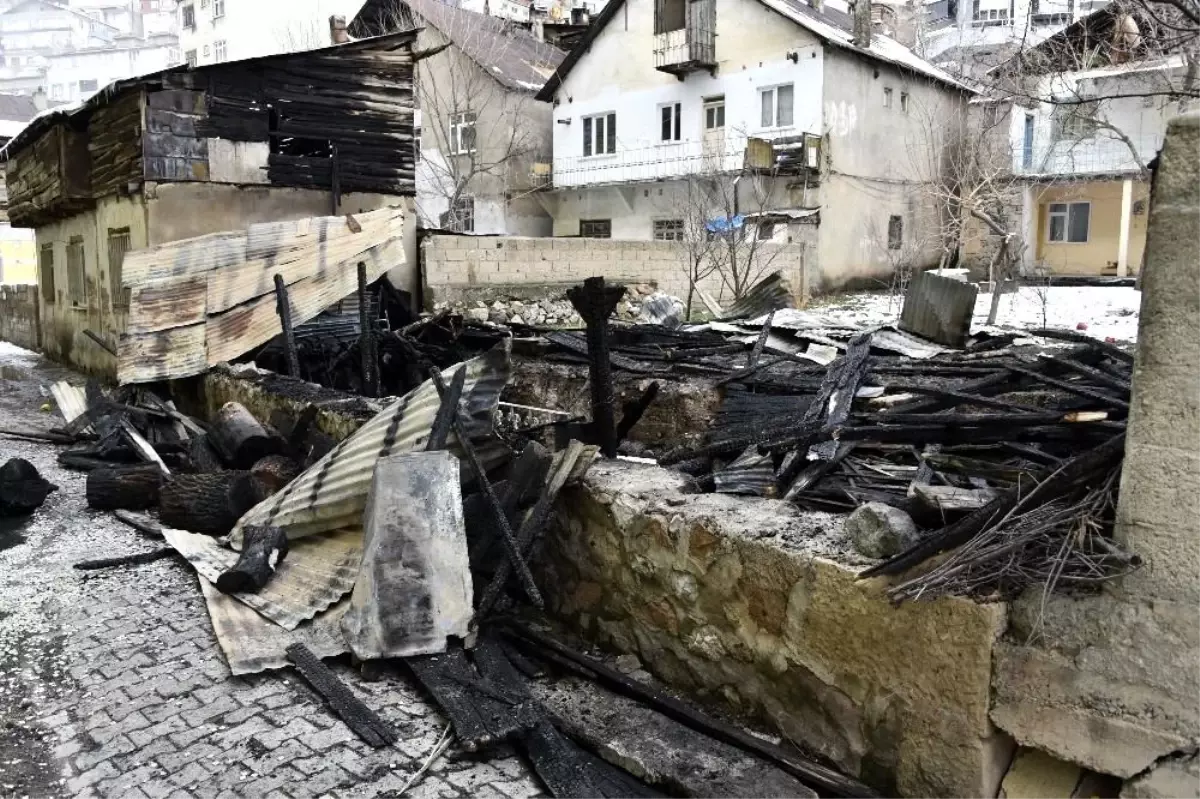 Gümüşhane\'de yanan barakada alevlerin arasına girip köpeği kurtaran kahramanlar konuştu